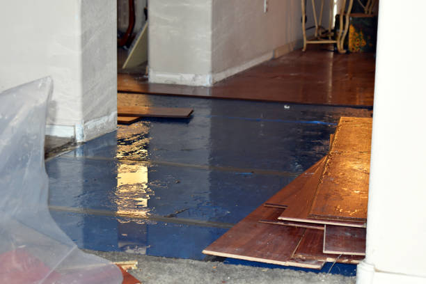 Professional Flood Damage Restoration technician working in Hart, TX
